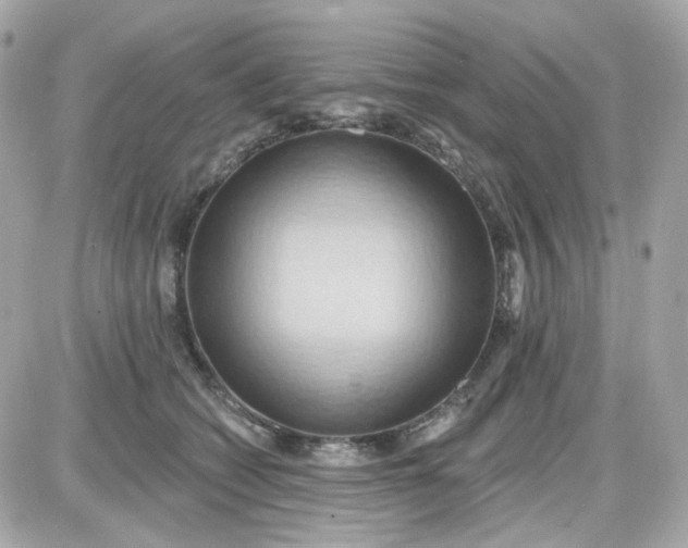 X0000087530562200705112034