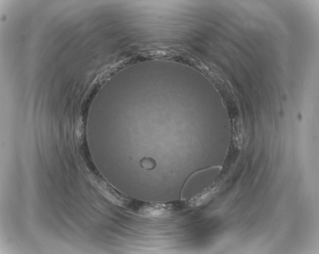 X0000087530563200705112034