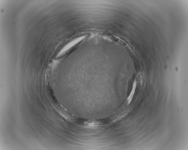 X0000087530564200705112034