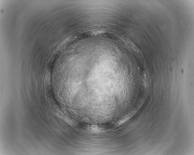 X0000087530565200705112034