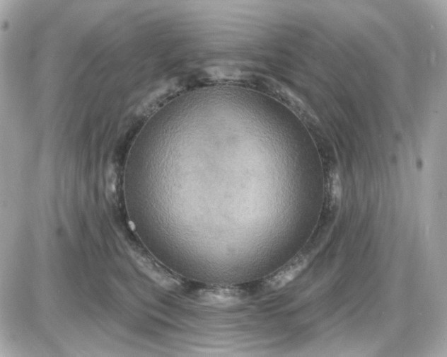 X0000087530567200705112034