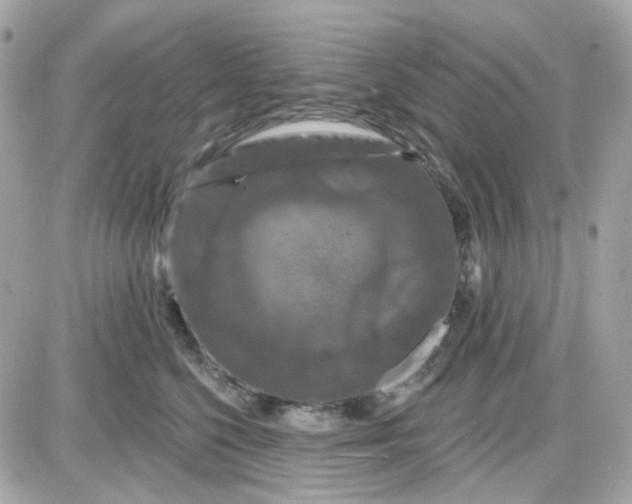 X0000087530568200705112034