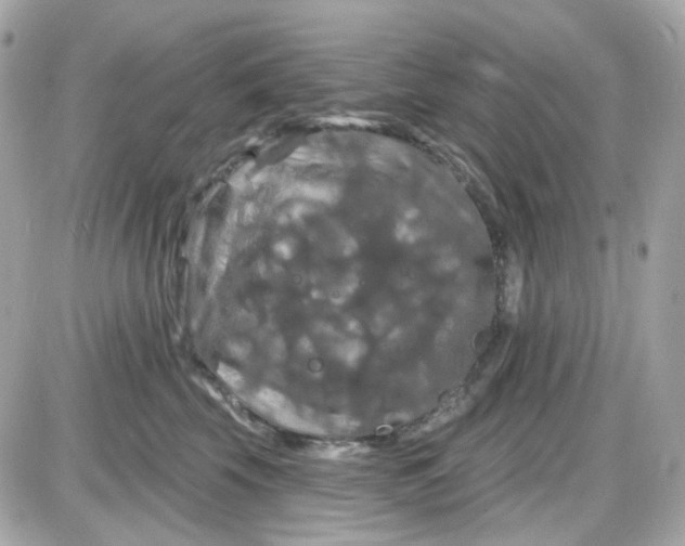 X0000087530569200705112034