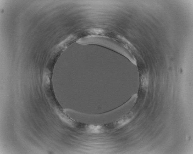 X0000087530570200705112034