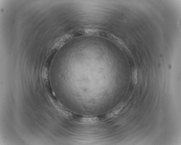 X0000087530571200705112034