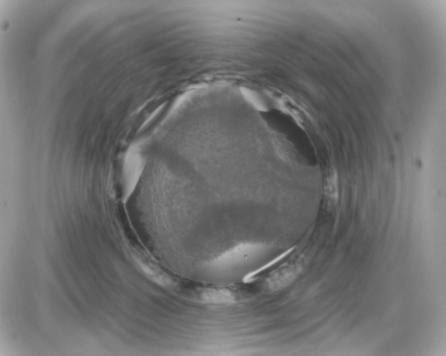 X0000087530572200705112034