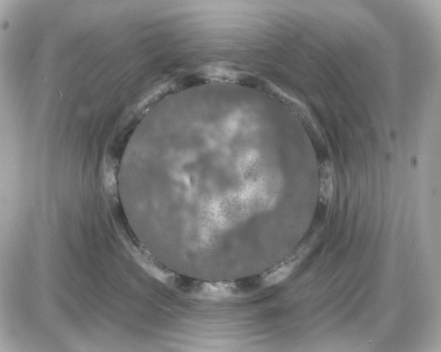 X0000087530573200705112034