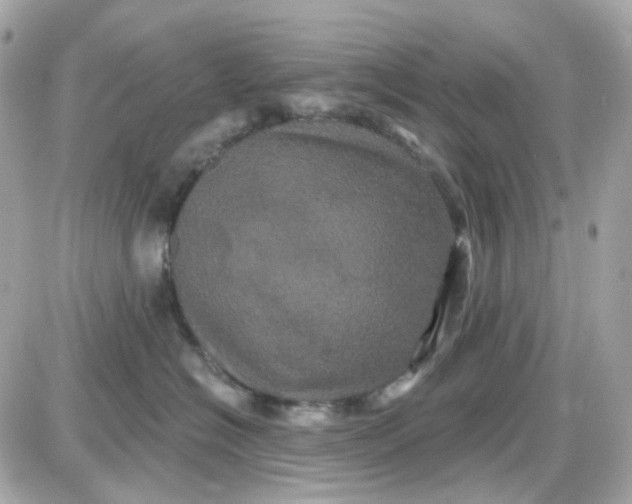 X0000087530574200705112034