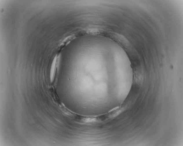 X0000087530575200705112034