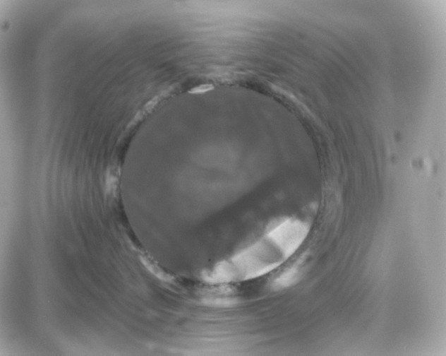 X0000087530576200705112034