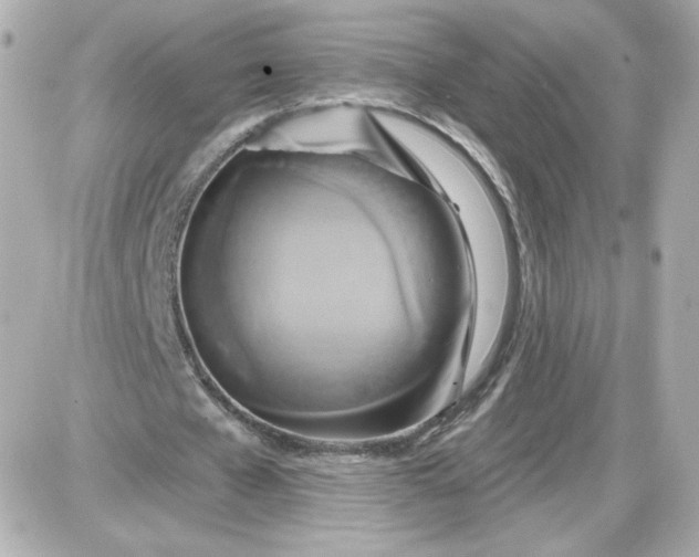 X0000087530577200705112033