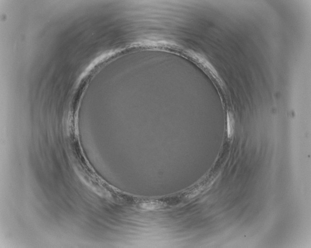 X0000087530579200705112033