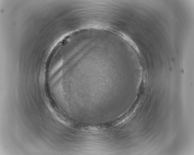 X0000087530580200705112033