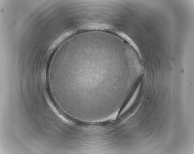 X0000087530581200705112033