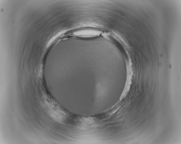 X0000087530583200705112033