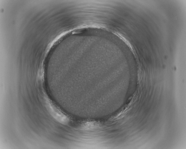 X0000087530584200705112033