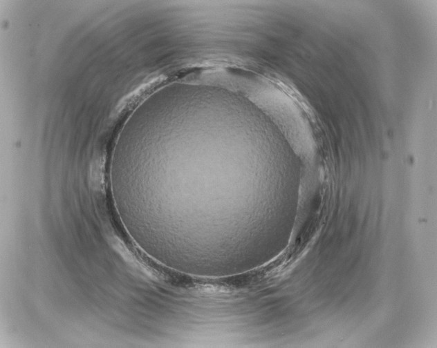 X0000087530585200705112033