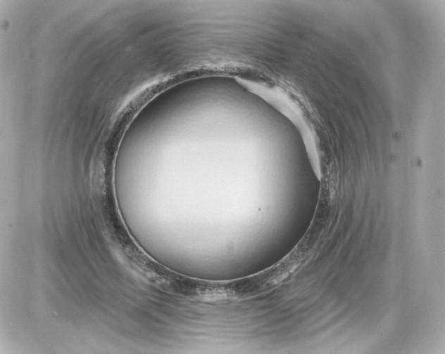 X0000087530587200705112033