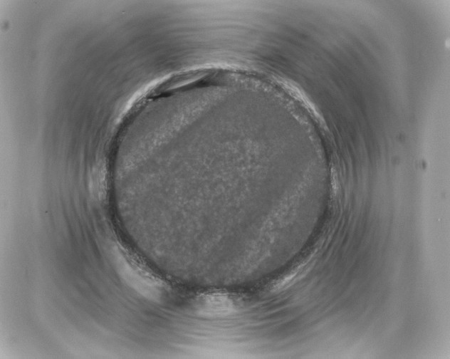 X0000087530588200705112033