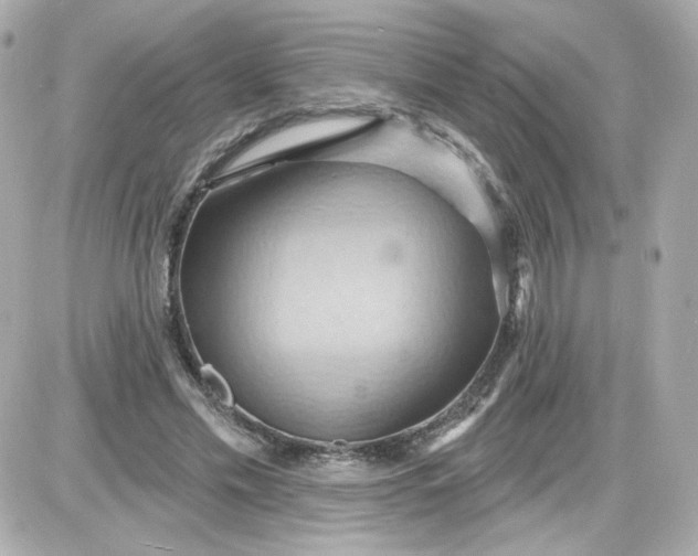 X0000087530589200705112033