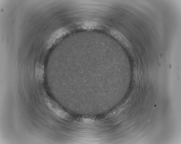 X0000087530592200705112033