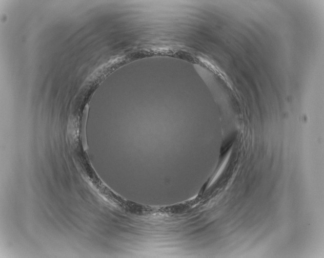 X0000087530593200705112033