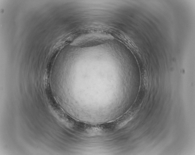 X0000087530594200705112033