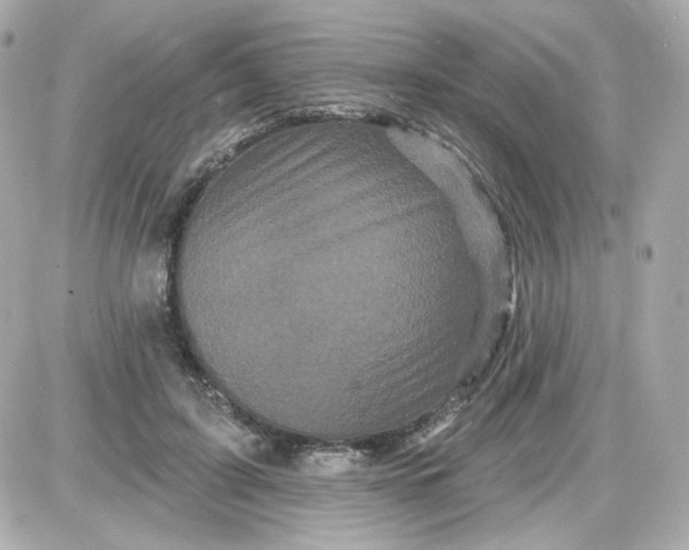 X0000087530595200705112033