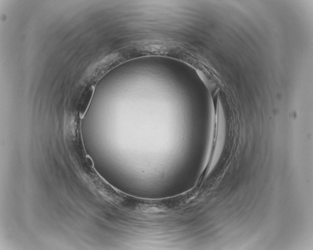 X0000087530597200705112033