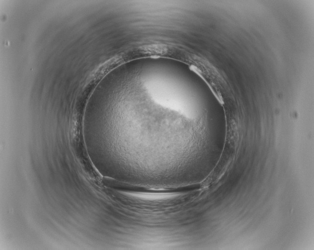 X0000087530600200705112033