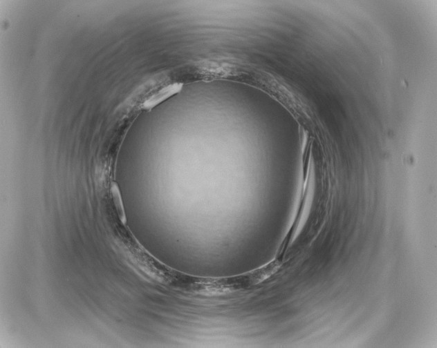 X0000087530601200705112033