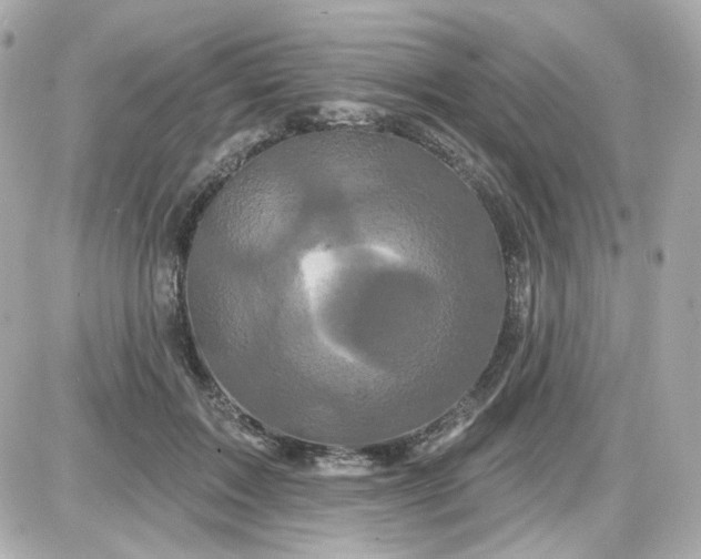 X0000087530603200705112033