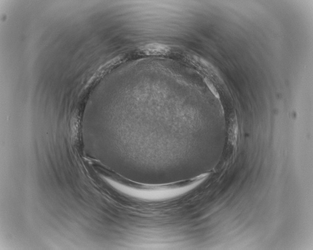 X0000087530604200705112033