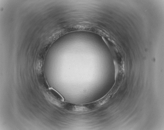 X0000087530605200705112033