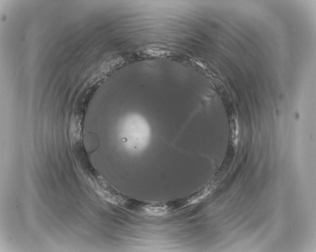 X0000087530606200705112033