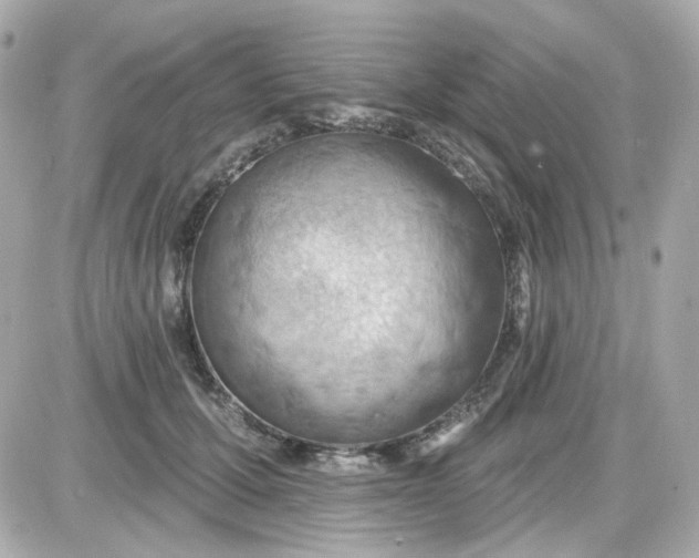 X0000087530607200705112033