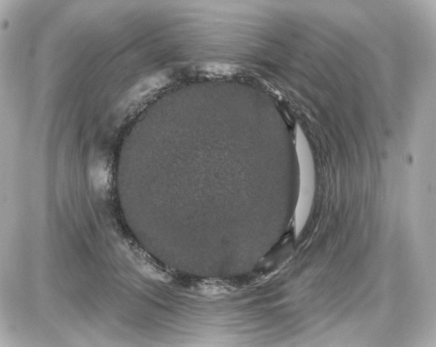 X0000087530608200705112033