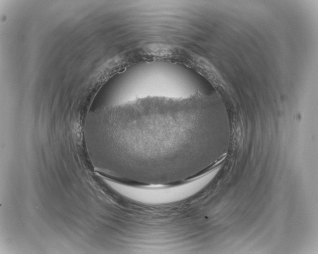 X0000087530609200705112033