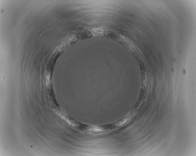 X0000087530610200705112033