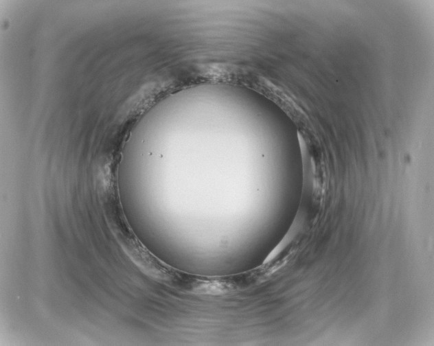 X0000087530611200705112033