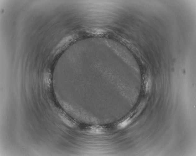 X0000087530612200705112033