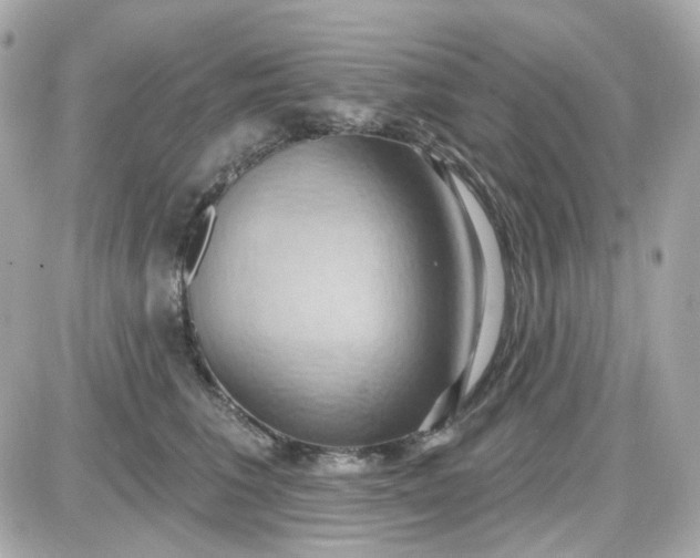 X0000087530613200705112033