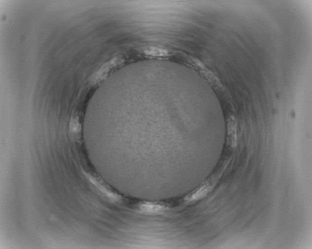 X0000087530614200705112033