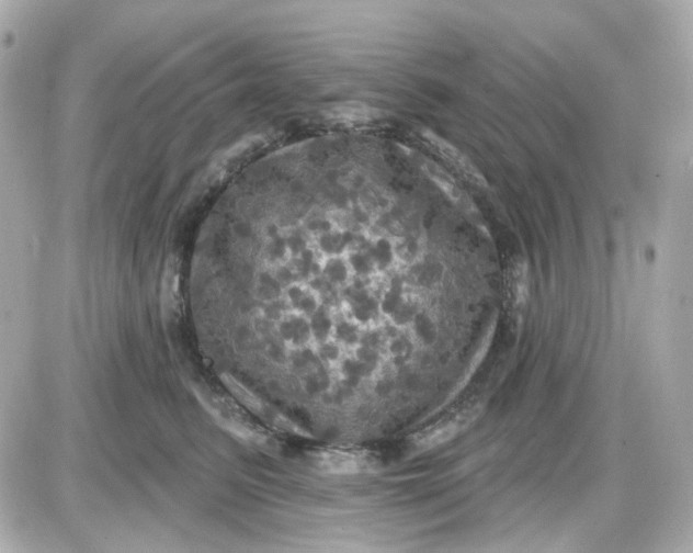 X0000087530615200705112033