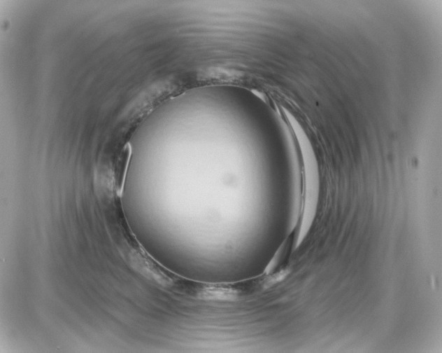 X0000087530617200705112033