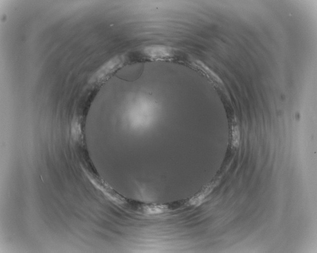 X0000087530618200705112033