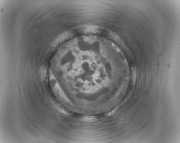 X0000087530619200705112033