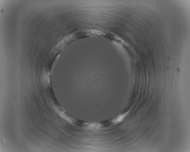 X0000087530621200705112033