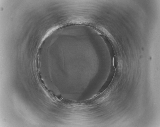 X0000087530626200705112032