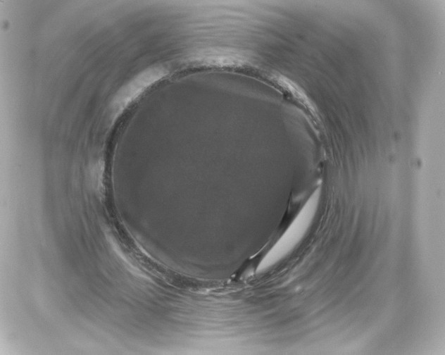 X0000087530627200705112032